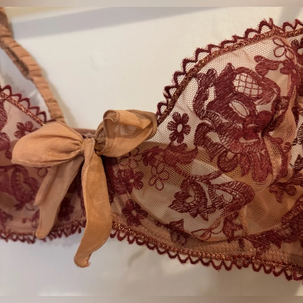 Etam Paris Lace Underwire Bra 34C Burgundy Tan Sheer Embroidered Bow